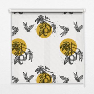 Tulup Tenda A Rullo Interna Per Finestra - Tenda Filtrante Luce - Tenda Privacy - Tenda Decorativa Rettangolare - Rullo Per Interni - (150 Cm X 180 Cm) - Fr