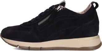 DL Sport Dames, Schoenen, Blauw, Maat: 42 EU Su&egrave;de