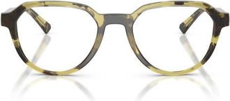 Michael Kors Lanai 52mm Geometric Optical Glasses in Olive Tortoise /Olive at Nordstrom