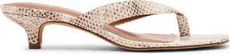 Steve Madden Tracie Sandal NAT SNK