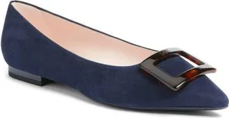Roger Vivier Gommettine Pointed Toe Ballet Flat in Galassia Scuro at Nordstrom, Size 9.5Us