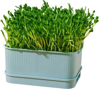 OEM Bandeja De Germinaci&oacute;n, Herramienta De Horticultura, Bandeja - Azul 1