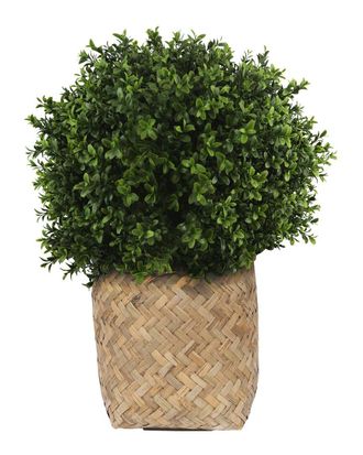 Creative Displays Inc. Uv-Rated Outdoor Boxwood Topiary With Bamboo Planter
