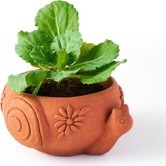 Matr Boomie Rakshana Plant Pot in Snail at Nordstrom