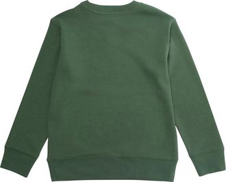 Polo Ralph Lauren Boys Sweatshirt Pony Embroidery Green Cotton Hoods & Sweatshirts