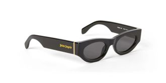 Palm Angels Griffith Grey Oval Unisex Sunglasses PERI088 1007 48