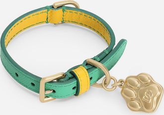 Dolce & Gabbana Collare Cane H12-s - Green S