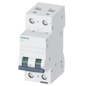 SIEMENS Interruptor Magnetot&eacute;rmico 2p 6a 10ka Tipo C 2 M&oacute;dulos 5sl42067