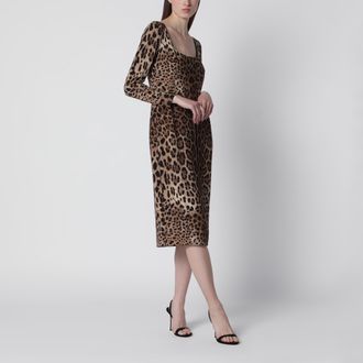 Dolce & Gabbana Leopard-print long-sleeve dress in viscose