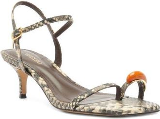 Arezzo Sofia Ankle Strap Sandal in Osso at Nordstrom, Size 8.5