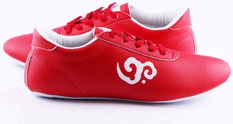 Generic Taekwondo Shoes, Martial Arts Sneakers, Sport Boxing Kung Fu Taichi Lightweight for Adults and Children(Red,10.5 UK Child)