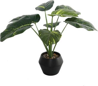 Flora Bunda 22In Travelers Palm In 8In Geo Ceramic Planter