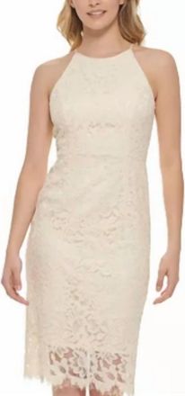 Eliza J Lace Sheath Dress In Ivory