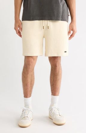 Honor The Gift Rib Knit Stretch Cotton Blend Drawstring Shorts in Bone at Nordstrom, Size X-Large