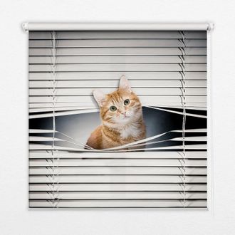 Tulup Tenda A Rullo Interna Per Finestra - Tenda Filtrante Luce - Tenda Privacy - Tenda Decorativa Rettangolare - Rullo Per Interni - (140 Cm X 140 Cm) - Ga