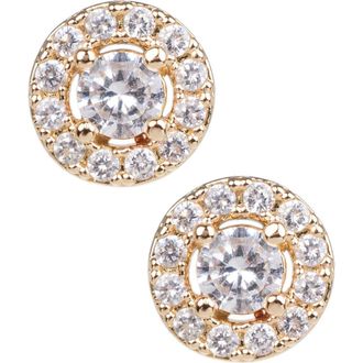 Kenneth Jay Lane 14K Gold Plated Cubic Zirconia Circle Stud Earrings in Clear/gold at Nordstrom Rack