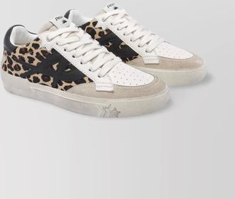 Ash low top sneakers leopard detail