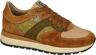DL Sport Schoenen, Dames, Bruin, 37 EU, Leer, 5832 Versione 02 Wedge Sneaker