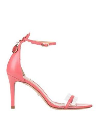 Elisabetta Franchi Sandals