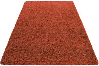 Nazar Rugs Alfombra de interior de pelo largo Terracota-160x230