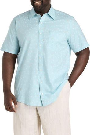 Nautica Big & Tall Starfish Printed Sport Shirt in Bchballblu at Nordstrom, Size Xx-Large