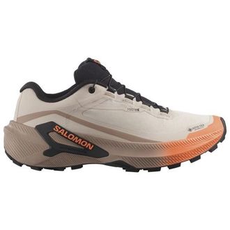 Salomon Genesis 2 GTX Trailrunningschuhe f&uuml;r Damen | braun
