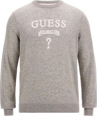 Guess Trui