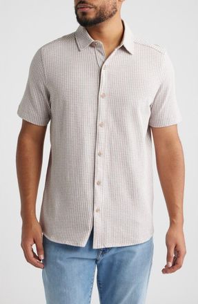 Johnston & Murphy Bennett Gingham Short Sleeve Button-Up Shirt in Tan Gingham at Nordstrom, Size Xxx-Large