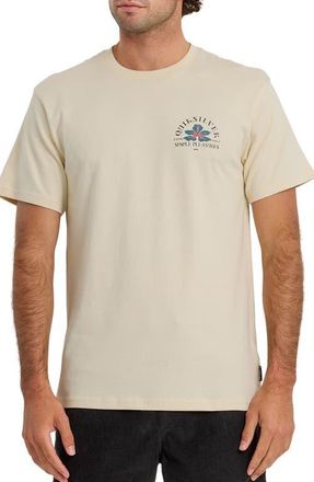 Quiksilver Pleasures Cotton Graphic T-Shirt in Bone White at Nordstrom, Size Xx-Large