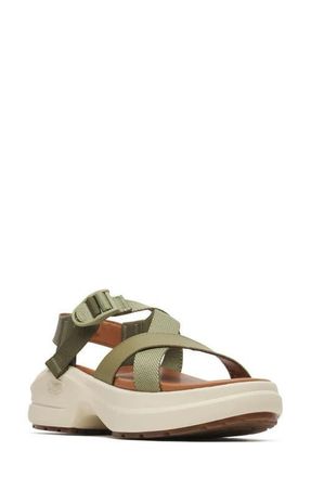 Chaco Cushform Sport Sandal in Olivine at Nordstrom, Size 11