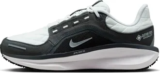Nike (WMNS) Nike Air Zoom Winflo 11 Gore-Tex Anthracite Metallic Silver FQ1359-004