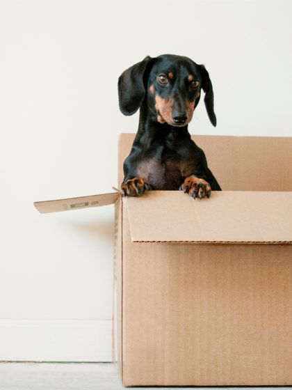 Wie lagere ich am besten meine Winterkleidung?