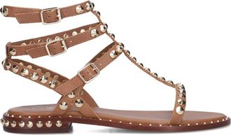 Ash Flat Sandals, female, Brown, Size: 11 US Brown Play Sandals for Women