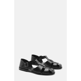 Scarosso Apollo Sandals in Black - Calf at Nordstrom, Size 42.5