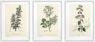 OEM Conjunto De 3 Carteles Arte De Pared Para La Cocina Carteles De Cocina Hierbas