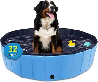 OEM Piscina Plegable Port&aacute;til Grande De Pl&aacute;stico Duro Para Perros, Gatos, Ni&ntilde;os, Mascotas Y Cachorros - 80 X 20 Cm - Azul