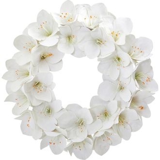 Nearly Natural 24-in Amaryllis Artificial Wreath in White at Nordstrom