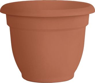 Bloem 20 Ariana Pot Planter, Terra Cotta in Brown at Nordstrom