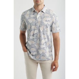 Tommy Bahama San Lucio Frond Fall IslandZone Pocket Polo in Glass Bottle at Nordstrom, Size 3Xlt