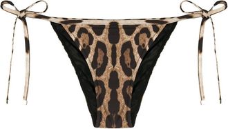 Dolce & Gabbana Leopard Print Bikini Bottoms - Womens - Polyamide/Spandex/Elastane