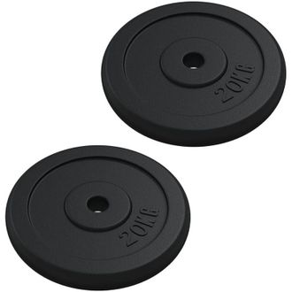 vidaXL Discos De Pesas Hierro Fundido 40 Kg Vidaxl