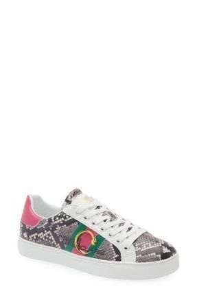 Roberto Cavalli Low Top Sneaker in White at Nordstrom Rack, Size 10Us / 40Eu