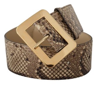 Dolce & Gabbana Womens Brown Exotic Wide Waist Leather Gold Metal Buckle Belt Python