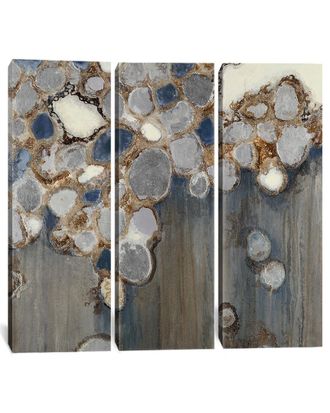 iCanvas Icanvas Indigo Oyster Shells Multi-Panel Artwork By Liz Jardine