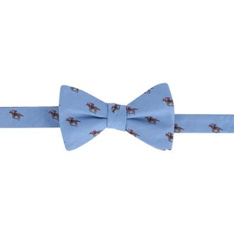 Trafalgar Store Down The Stretch Racehorse Linen Blend Bow Tie in Light Blue at Nordstrom