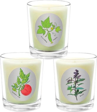 Qualitas 3Pc Candle Set - Tomato Leaf, Cucumber, & Basil