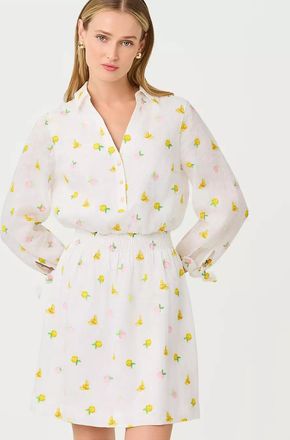 Lilly Pulitzer Abralynn Embroidered Linen Shirtdress