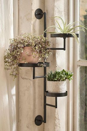 Terrain Wall Mounted Iron Plant Stand