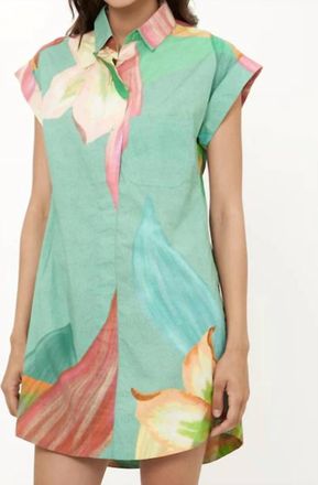 Oliphant Shirt Dress In Hibiscus Sage