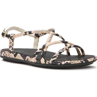 FitFlop Gracie Snake Sandals in Hazy Taupe/black at Nordstrom, Size 5